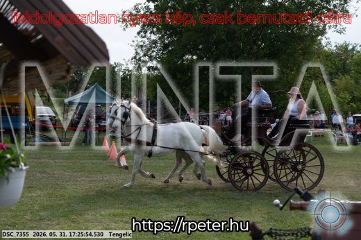 Mintakép 20260531-672