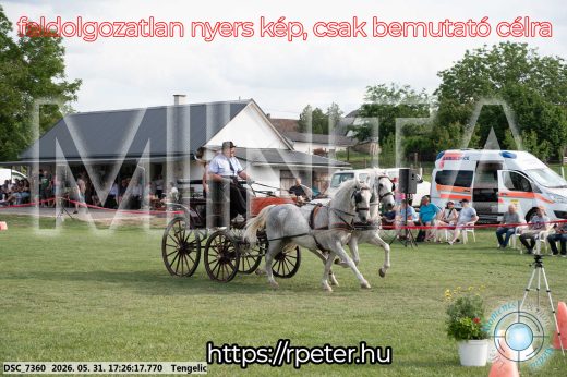 Mintakép 20260531-674