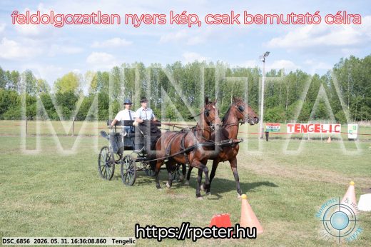 Mintakép 20260531-684