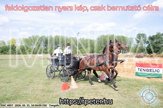 Mintakép 20260531-685