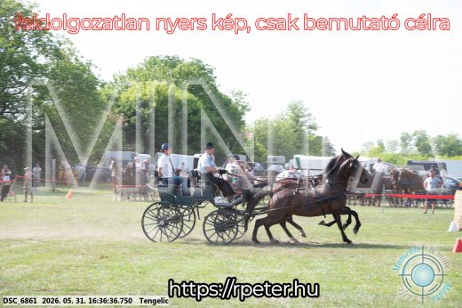 Mintakép 20260531-689