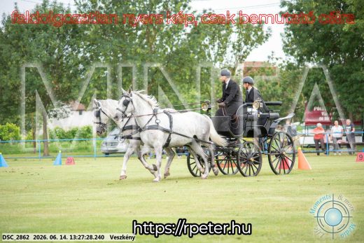 Mintakép 20260614-63
