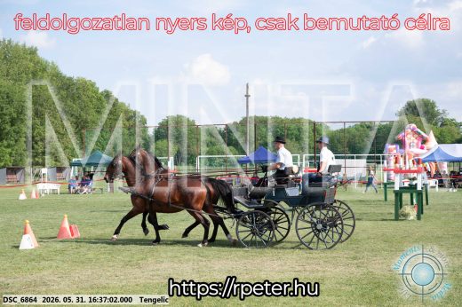 Mintakép 20260531-690