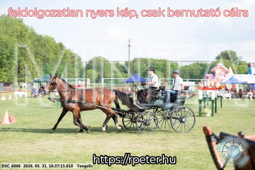 Mintakép 20260531-691