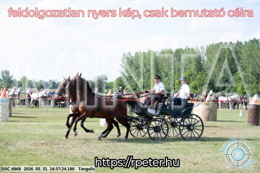 Mintakép 20260531-693