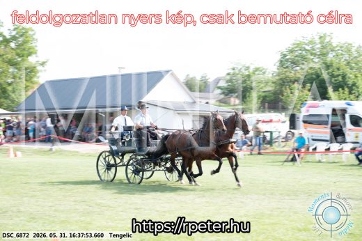Mintakép 20260531-694