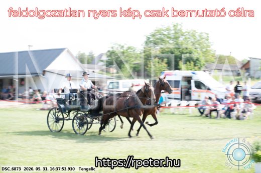 Mintakép 20260531-695