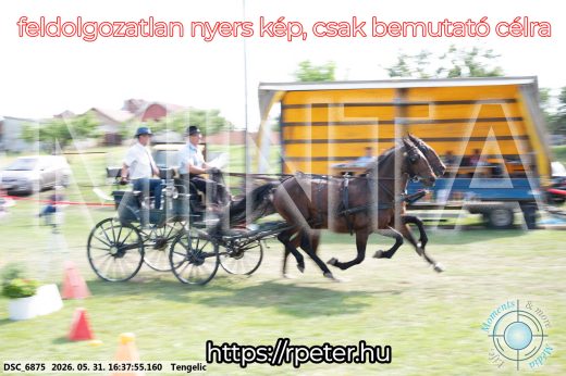 Mintakép 20260531-696