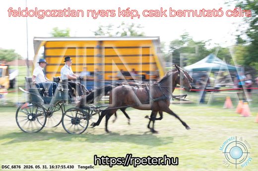 Mintakép 20260531-697