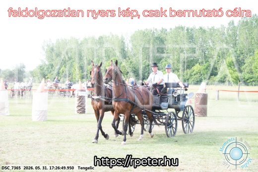 Mintakép 20260531-698