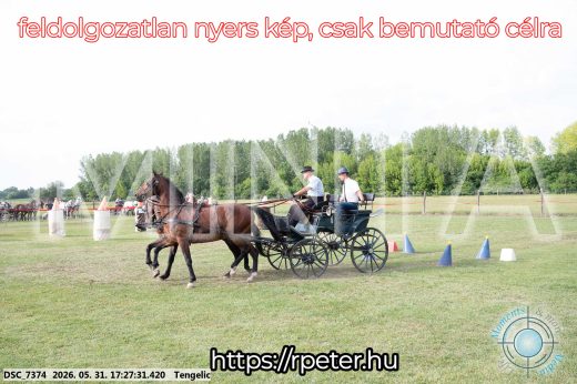 Mintakép 20260531-699