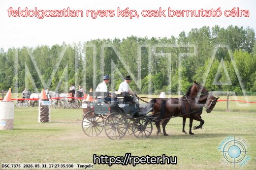 Mintakép 20260531-700
