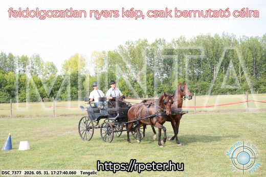 Mintakép 20260531-702