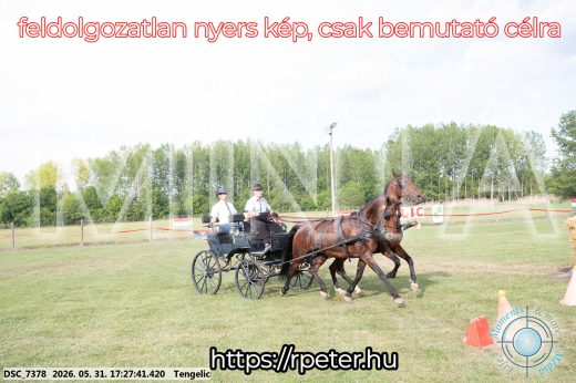 Mintakép 20260531-703