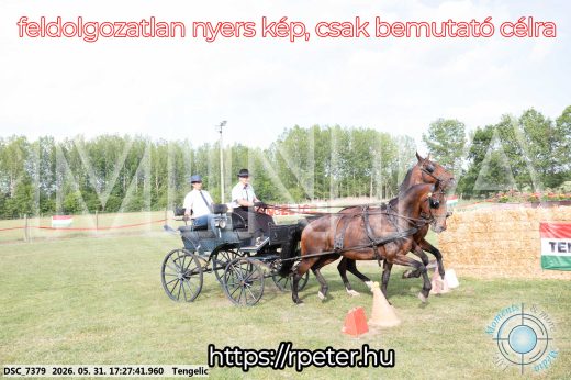Mintakép 20260531-704