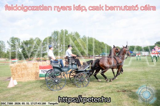 Mintakép 20260531-705