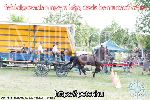 Mintakép 20260531-706