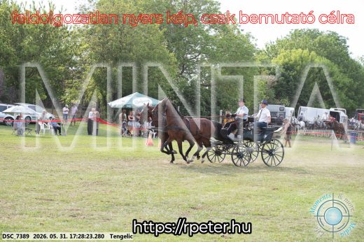 Mintakép 20260531-707