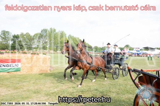 Mintakép 20260531-709