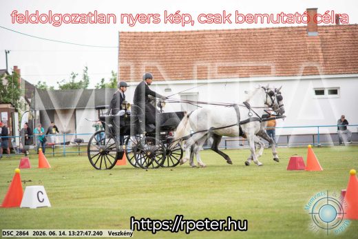 Mintakép 20260614-65