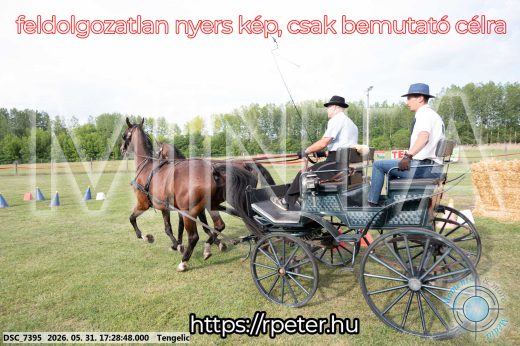Mintakép 20260531-710