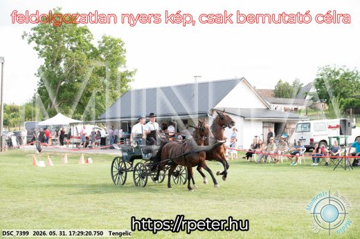 Mintakép 20260531-713
