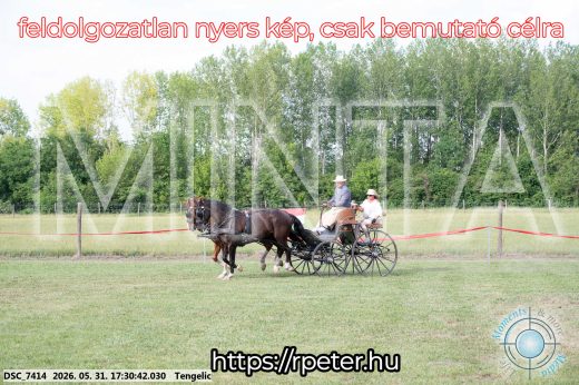 Mintakép 20260531-722
