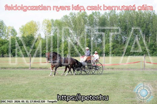 Mintakép 20260531-723