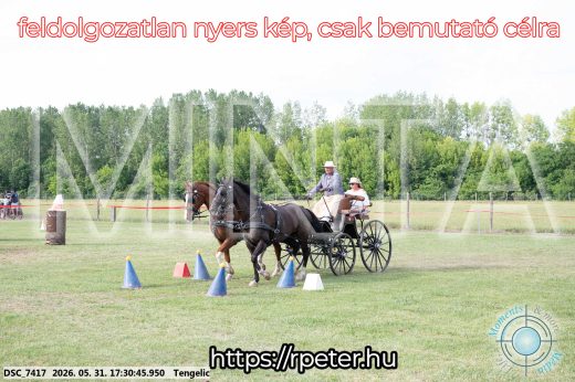 Mintakép 20260531-725