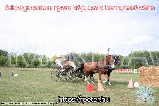 Mintakép 20260531-727