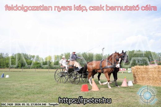 Mintakép 20260531-728