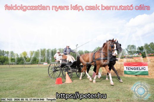 Mintakép 20260531-729