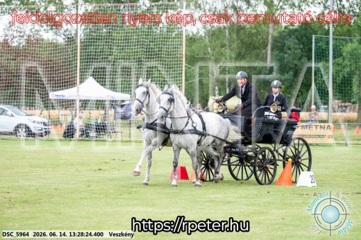 Mintakép 20260614-67