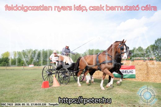 Mintakép 20260531-730