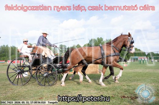 Mintakép 20260531-731