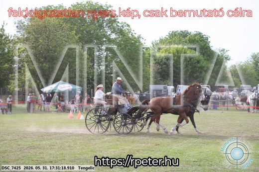 Mintakép 20260531-732