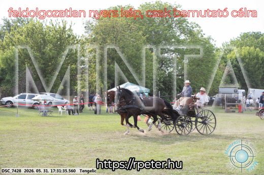 Mintakép 20260531-733