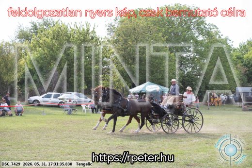 Mintakép 20260531-734