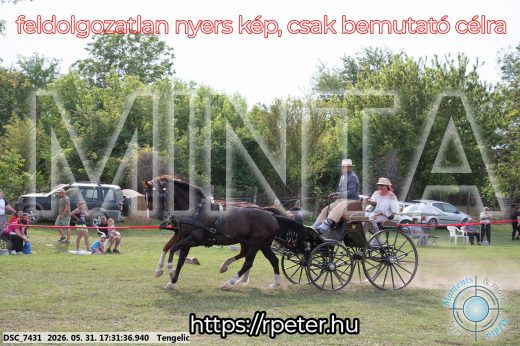 Mintakép 20260531-735