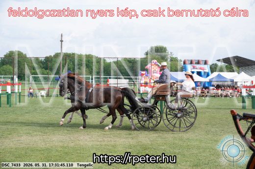Mintakép 20260531-736