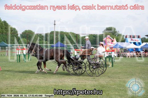 Mintakép 20260531-737