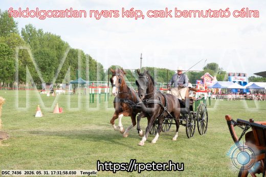 Mintakép 20260531-738
