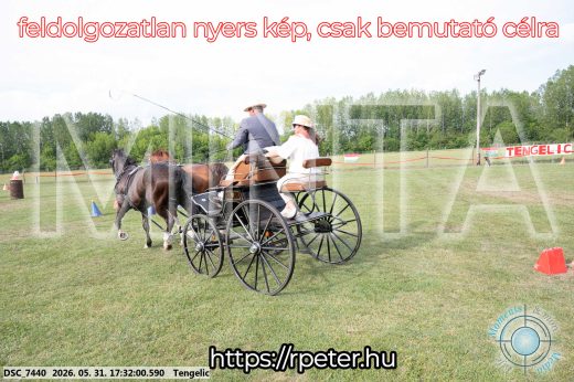 Mintakép 20260531-741