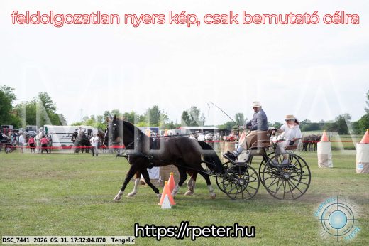 Mintakép 20260531-742