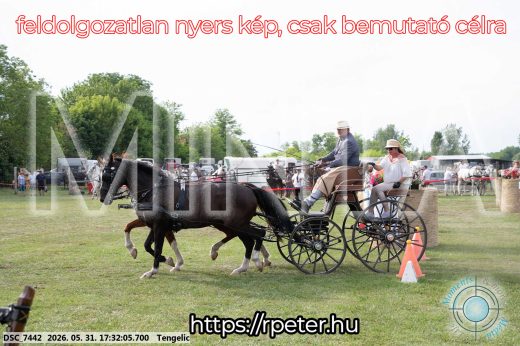 Mintakép 20260531-743