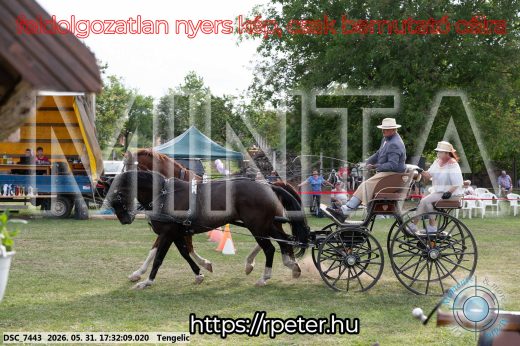 Mintakép 20260531-744