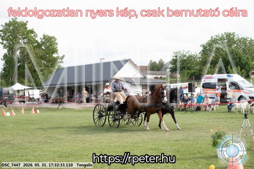 Mintakép 20260531-746