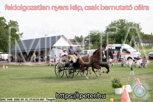 Mintakép 20260531-747