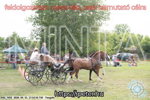 Mintakép 20260531-752