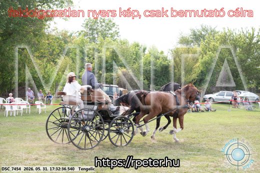Mintakép 20260531-753